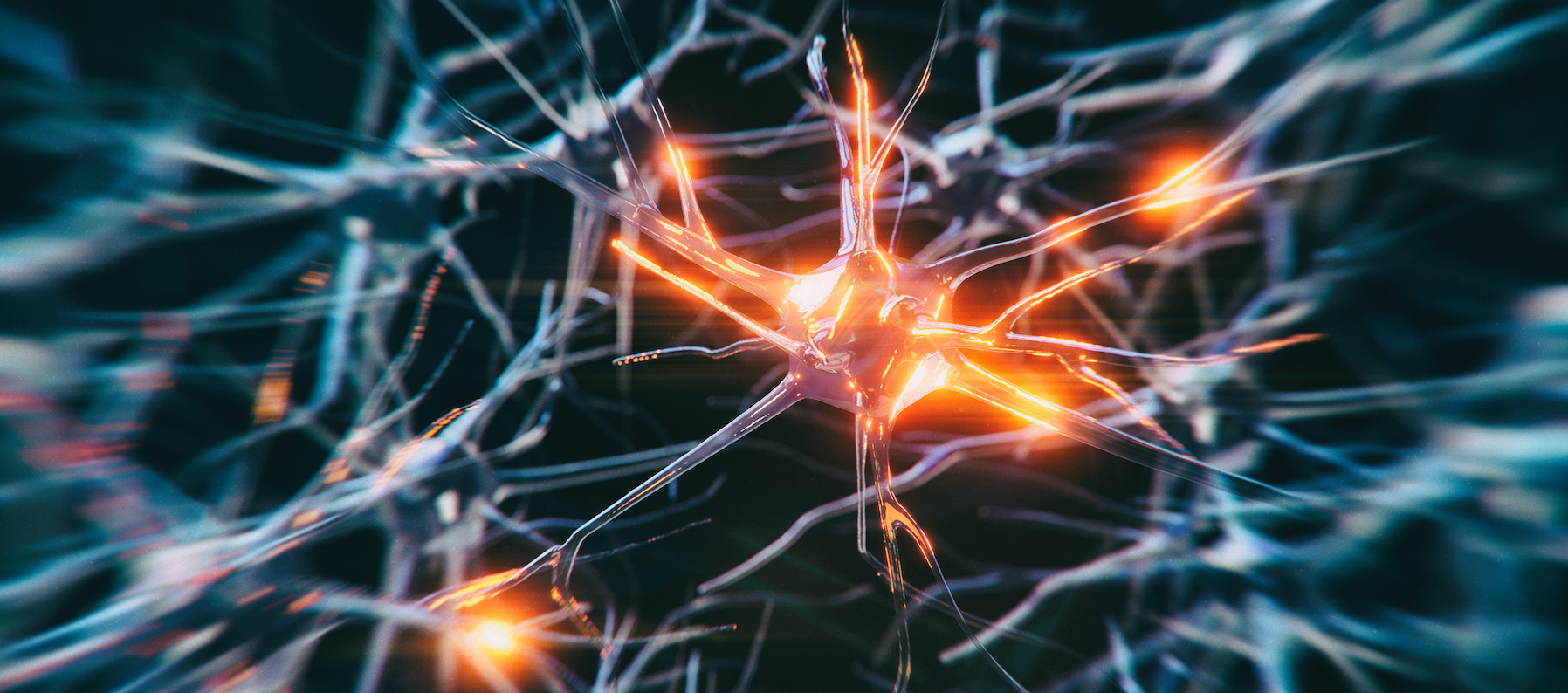 Under the Microscope: The Anatomy of CBRS Solutions for Private Networks