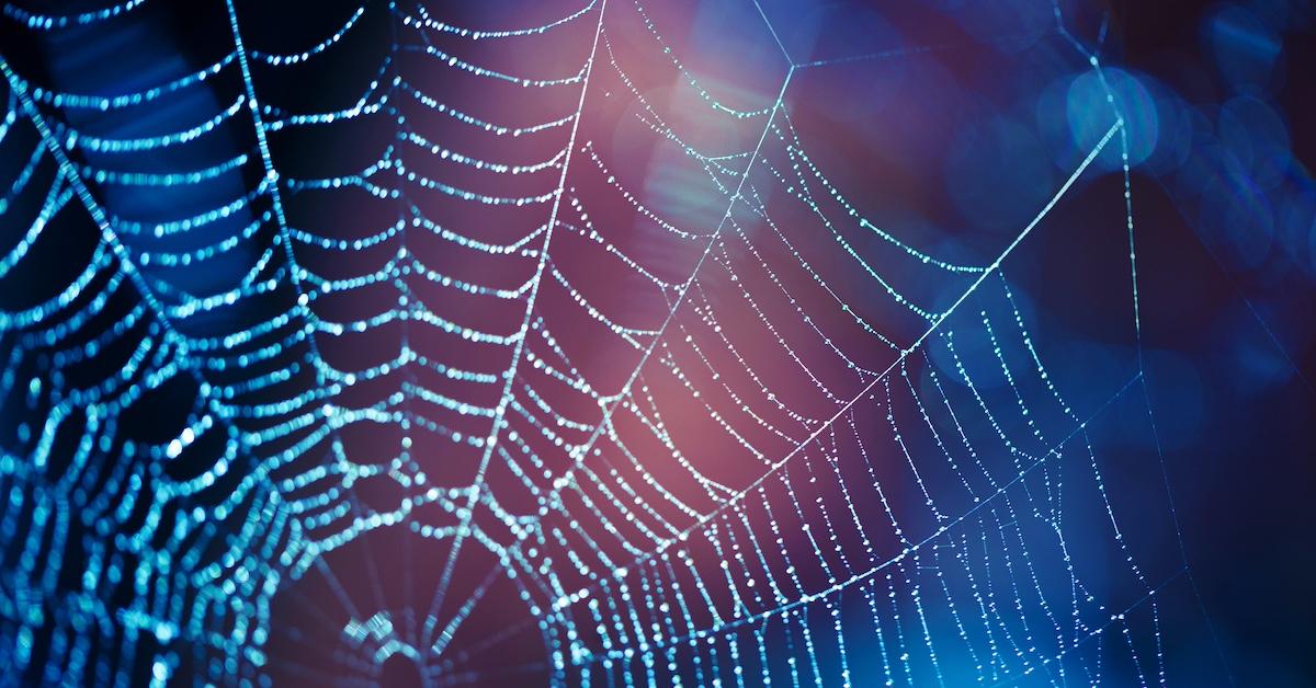 Web application security