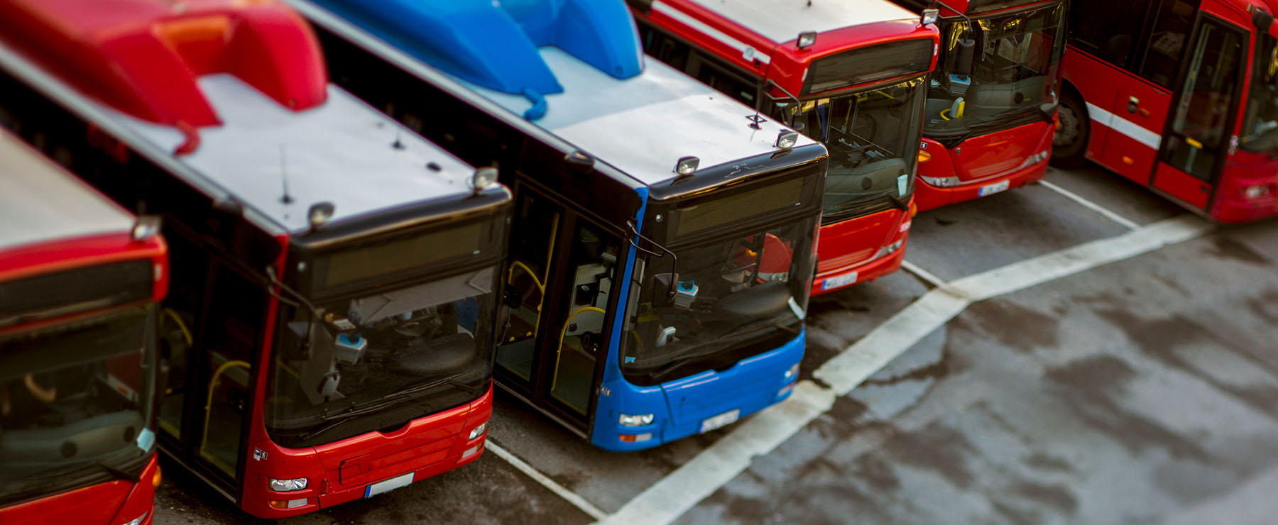 The image displays a fleet of parked public transportation buses